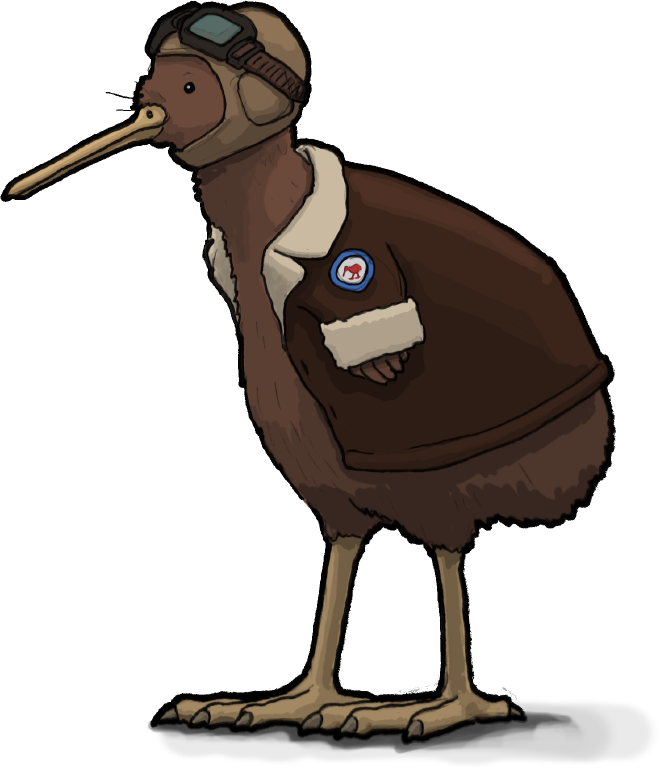 Kiwi wearing New Zealand Air Force aviator gear